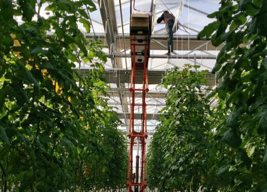 升降平台车在采摘工作中的应用